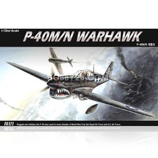 Academy Science 1/72 P 40M/N 戰鷹飛機塑膠模型, 單色, 15歲以上, 1個