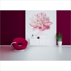 a2cfa8c4-db52-4cf0-959b-f95a554e38df.jpg
