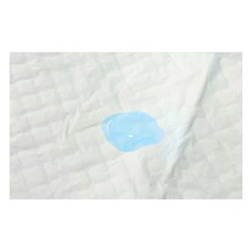노마진 반려견 배변패드, 100개입, 3개