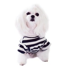 앙블리 강아지 소프트터치 티셔츠, 차콜 + 아이보리