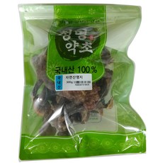 자연산영지버섯