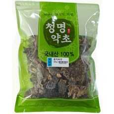 운지버섯