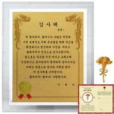 럭키심볼 크리스탈 감사패 8G 할아버지 할머니 감사패 + 24K골드 카네이션 전자파 스티커