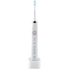 단미 음파 전동칫솔 클린케어 + 케이스 + 칫솔모 2p, DA-CL100(WHITE), 1개