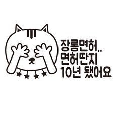장롱면허 시리즈 스티커 초록 55.면허딴지 10년 됐어요
