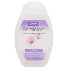 뷰티포뮬라 여성청결제 젠틀, 250ml, 1개
