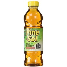 파인솔