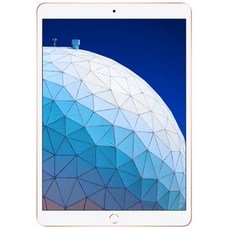 Apple 2019년 iPad Air 10.5 3세대, Wi-Fi+Cellular, 256GB, Gold