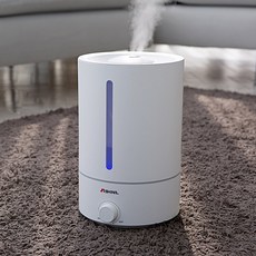 신일 울트라소닉 손세척 가습기 5L, SUH-D300SJ