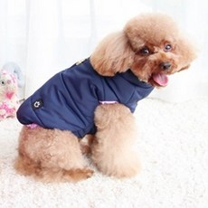 강아지미키마우스패딩