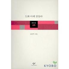 도화 아래 잠들다, 창작과비평사, 김선우 저
