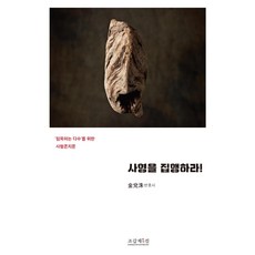 사형을 집행하라:‘침묵하는 다수’를 위한 사형존치론, 김태수, 조갑제닷컴