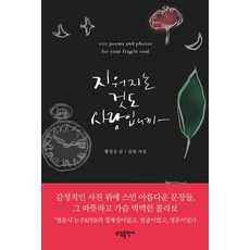지질시대책