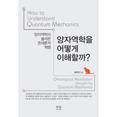 [한울아카데미]양자역학을 어떻게 이해할까 : 양자역학이 불러온 존재론적 혁명, 한울아카데미, 장회익