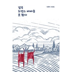 [걷는사람]결국 로맨스 빠빠를 못 봤다 - 걷는사람 소설집 9, 걷는사람, 안종수