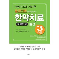 [청홍]플로차트 한약치료 처방분석 실전 3초룰, 청홍, 니미 마사노리