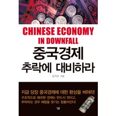 중국경제 추락에 대비하라, 살림, 김기수 저