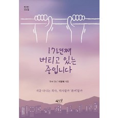 사이다시리즈