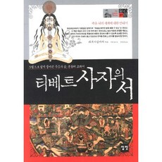 티베트 사자의 서:그림으로 쉽게 풀어쓴 죽음과 삶 통찰의 교과서, 일빛