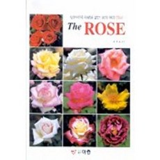 이종덕상쇠꽹과리