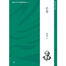 [살림]부활 - 생각하는 힘 진형준 교수의 세계문학컬렉션 55, 살림, 톨스토이 살림