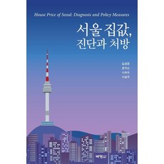 [박영사]서울 집값 진단과 처방, 박영사
