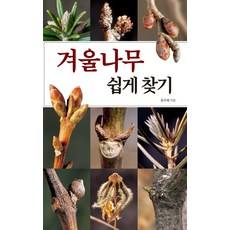 겨울나무 쉽게 찾기, 진선BOOKS, 윤주복