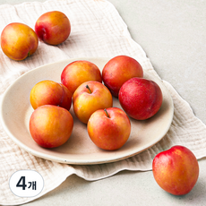 굿데이 당도선별 대석 자두, 1kg(대과), 4개