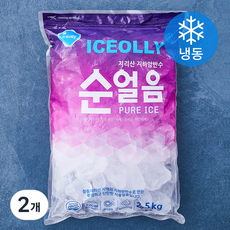 아이스올리 순얼음 (냉동), 2.5kg, 2개
