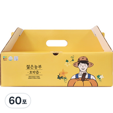푸릇담 국내산 젊은농부 호박즙, 3L, 2개