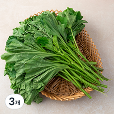 국내산 아욱, 1kg, 3개