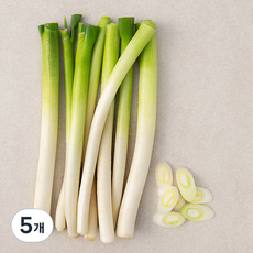국내산 친환경 손질한 흰줄기 대파, 350g, 5개