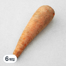 국내산 흙당근, 100g, 1개입, 6개