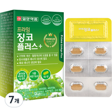일양약품 프라임 징코 플러스 15g, 30정, 7개