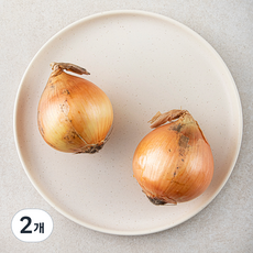 국내산 양파, 300g, 2개 300g, 2개