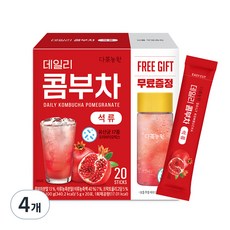 다농원 데일리 콤부차 석류, 5g, 20개입, 4개