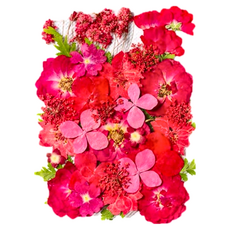 A-ONE 匯旺 真花壓花 大花包-紅樓夢園 CC03, 2入, 1個, CC03紅樓夢園