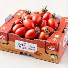 세도농협 GAP 인증 대추방울토마토, 1kg, 1박스