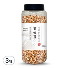 건강곡간 영월 찰수수, 600g, 3개