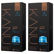 카누 바리스타 머신 전용 캡슐커피 조이풀스노우, 9.5g, 10개입, 2개