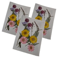 A-ONE 匯旺 真花壓花 小花包, 花花草草, 3包