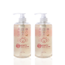 고위드 올인원 주방세제, 750ml, 2개