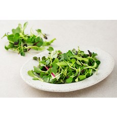 유기농 어린잎 채소믹스, 50g, 1개 - 이미지 4