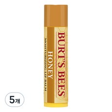 버츠비 모이스춰라이징 립밤, 허니, 4.25g, 5개