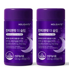 홀리데이즈 잔티젠핏 더 슬림, 28정, 2개 28정, 14g, 2개