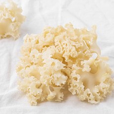 곰곰 친환경 꽃송이버섯, 80g, 1개