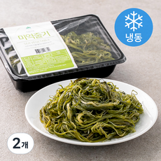 산골어부 미역줄기 (냉동), 250g, 2개