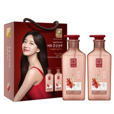 동의홍삼 매화홍삼 샴푸 힘없는 모발용, 2개, 500ml