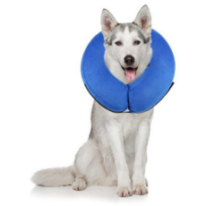 Dog Shop Pet Elizabeth 手術區保護套藍色 L, 1個