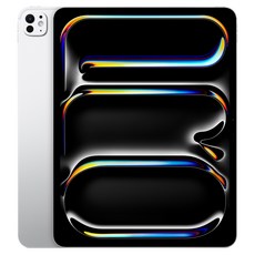 Apple 2025 아이패드 프로 13(M5 모델) Nano-texture 글래스, 실버, 1TB, Wi-Fi